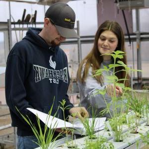 两个学生在温室里观察植物